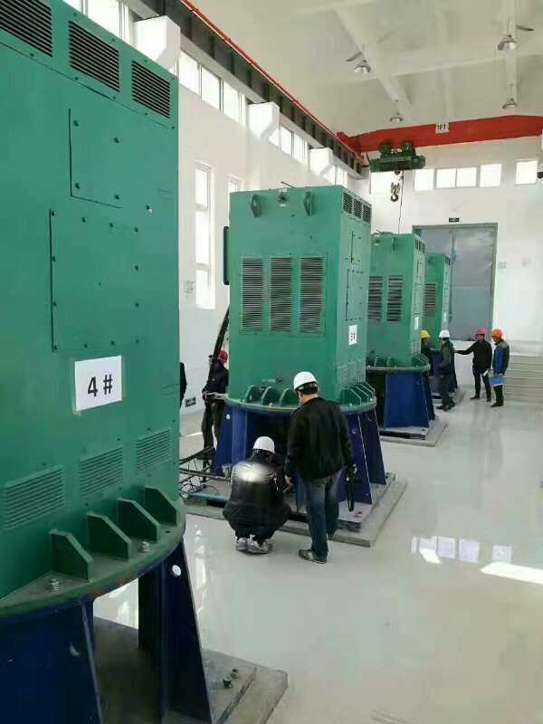 秦安某污水处理厂使用我厂的立式高压电机安装现场