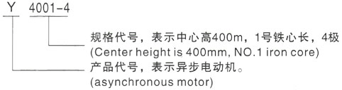 西安泰富西玛Y系列(H355-1000)高压秦安三相异步电机型号说明